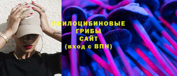 соль курить ск Заводоуковск